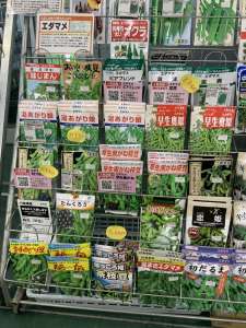 エダマメを育てよう‼️
