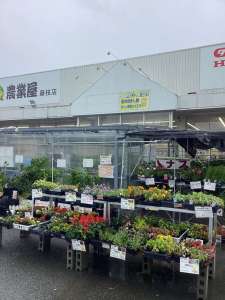 台風でも営業しています。