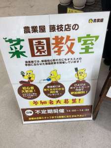 家庭菜園教室やります！