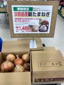 淡路島産の新たまねぎ入荷しました🎵