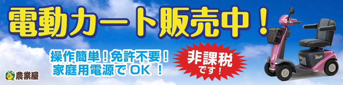 電動カートのご案内(^o^)