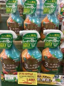 病害虫対策をしましょう🌽🍉🫑