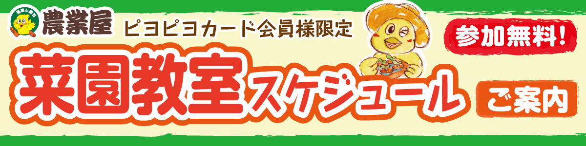 菜園教室のご案内です