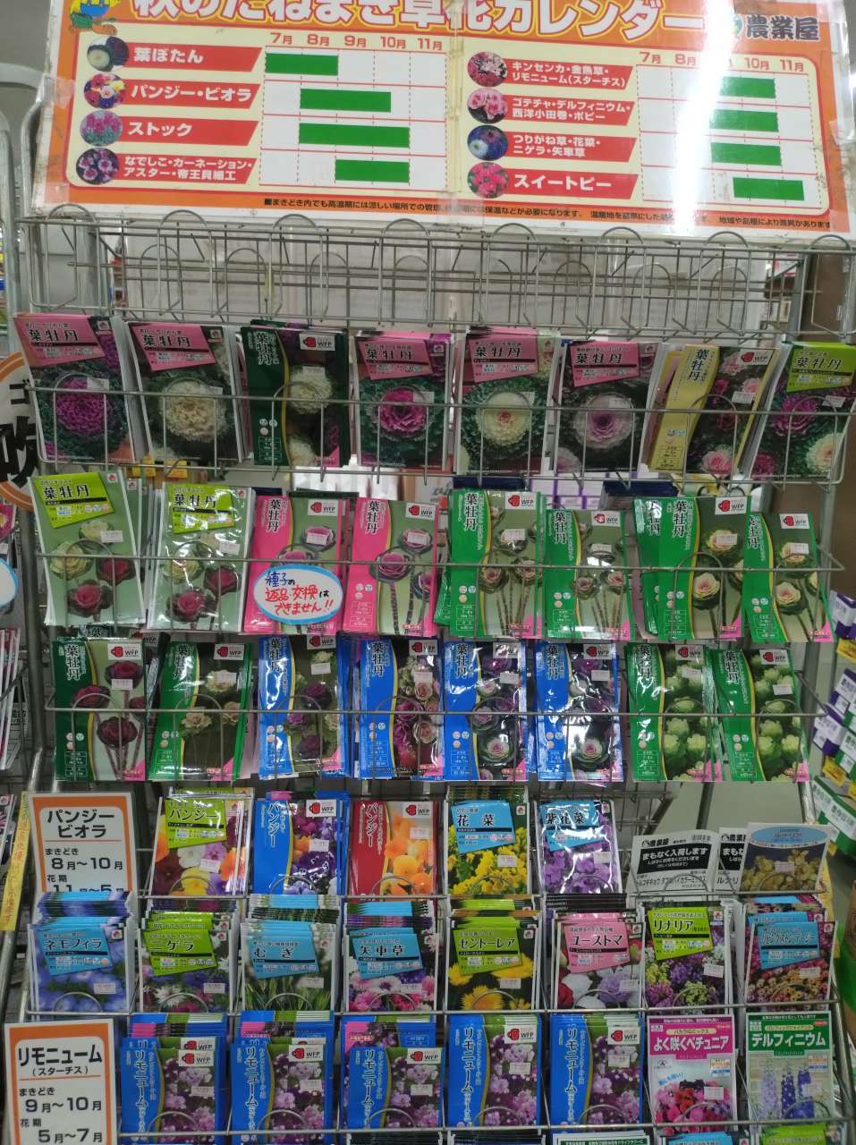 🌸 葉牡丹の種が入荷しました！ 🌸