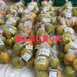 ✨幸水梨✨入荷しました‼️