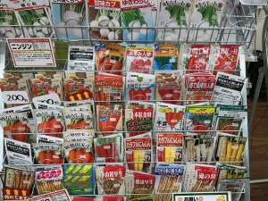 【秋冬ニンジン栽培スタート！】発芽が成功のカギ！種まきのポイントとフルボ酸液肥で暑さに負けない栽培を