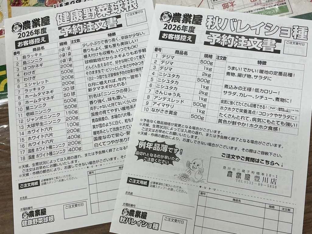 【予約】秋バレイショ🥔健康野菜球根【開始】