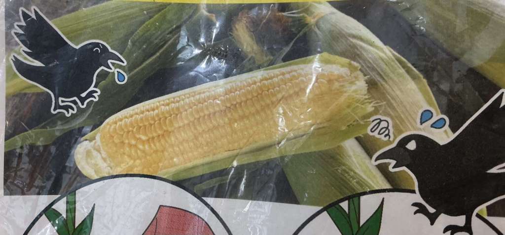 【トウモロコシ栽培の見方🌽】おススメのアワノメイガ対策資材をご紹介！