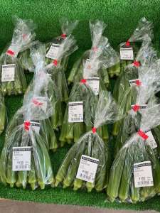 夏野菜続々入荷中🎵