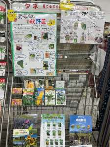 新種入荷中