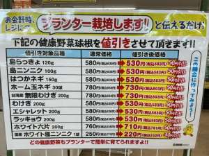 健康野菜割引キャンペーン！