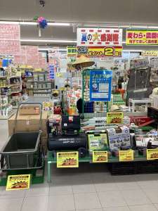 夏の大感謝祭開催中‼️