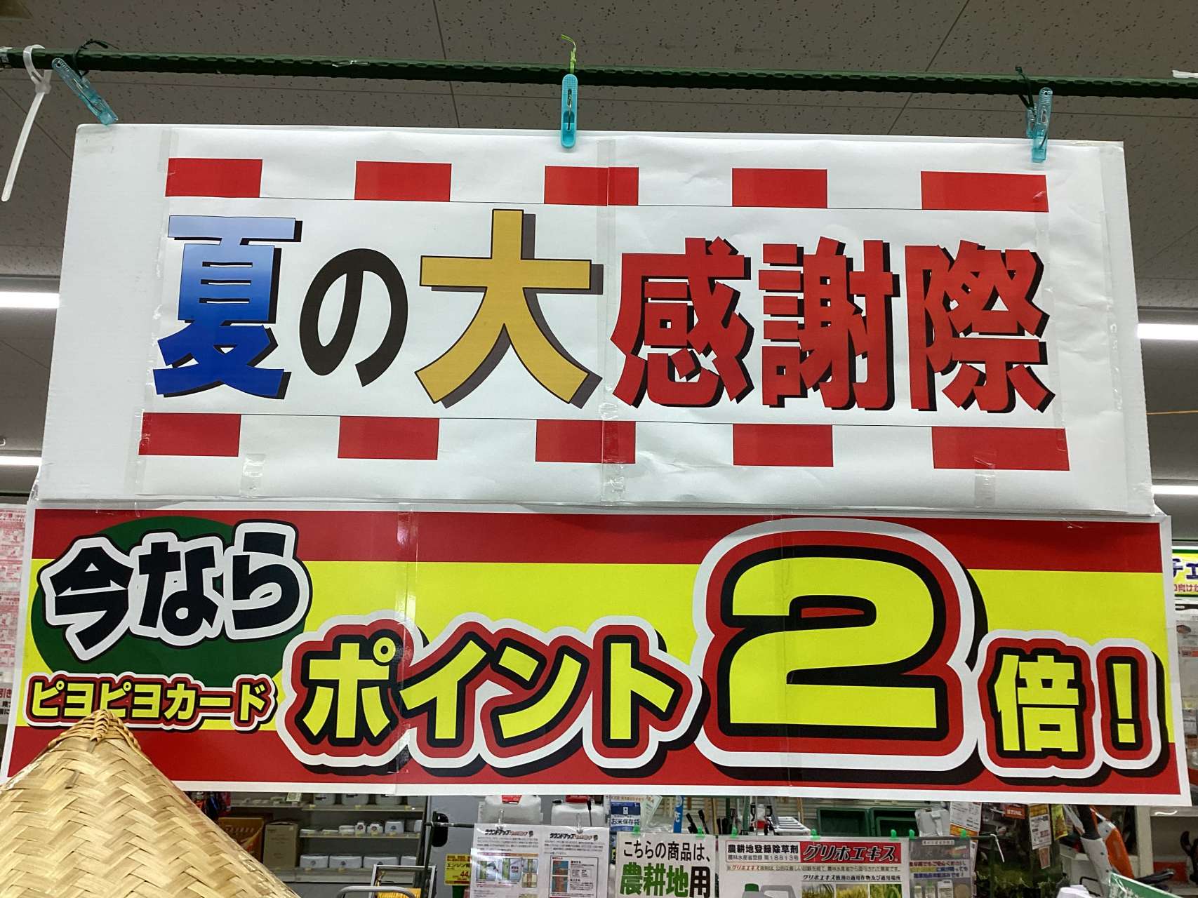 夏の大感謝祭開催中‼️