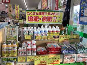 夏の大感謝祭を開催中‼️ 夏には液肥が良い❣️