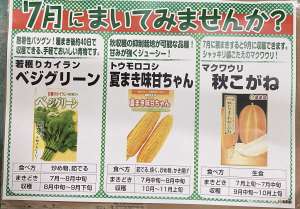 今まける種ご紹介