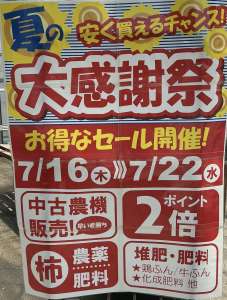 夏の大感謝セール開催！