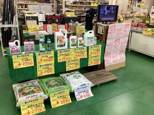 夏の大感謝祭に向けて準備中！！