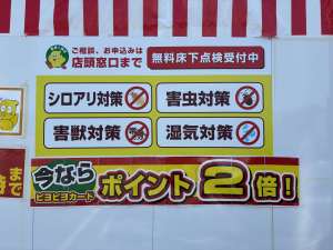 最近増えています！コウモリ、ハクビシンなど害獣被害のご相談は農業屋犬山店へ