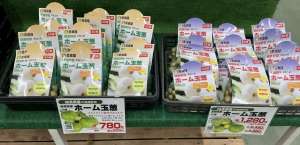 健康野菜球根入荷開始
