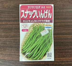 8月に撒いてみませんか？