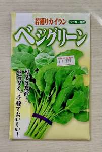 今蒔いていただける野菜種子のご紹介です！