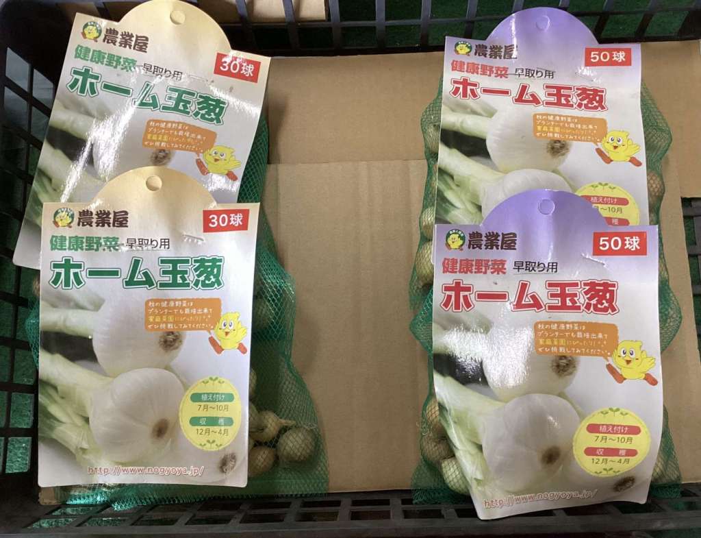 わけぎ、ホーム玉葱が入荷しました。