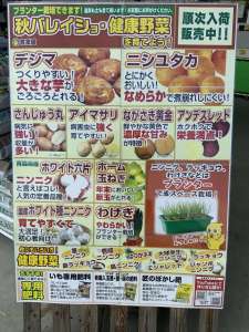 健康野菜の入荷が始まりました‼️