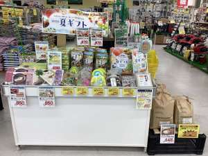 2026  夏ギフトご予約受付中です