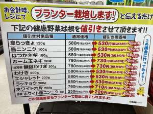 健康野菜の球根が入荷しています