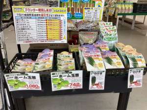 健康野菜　続々入荷！！