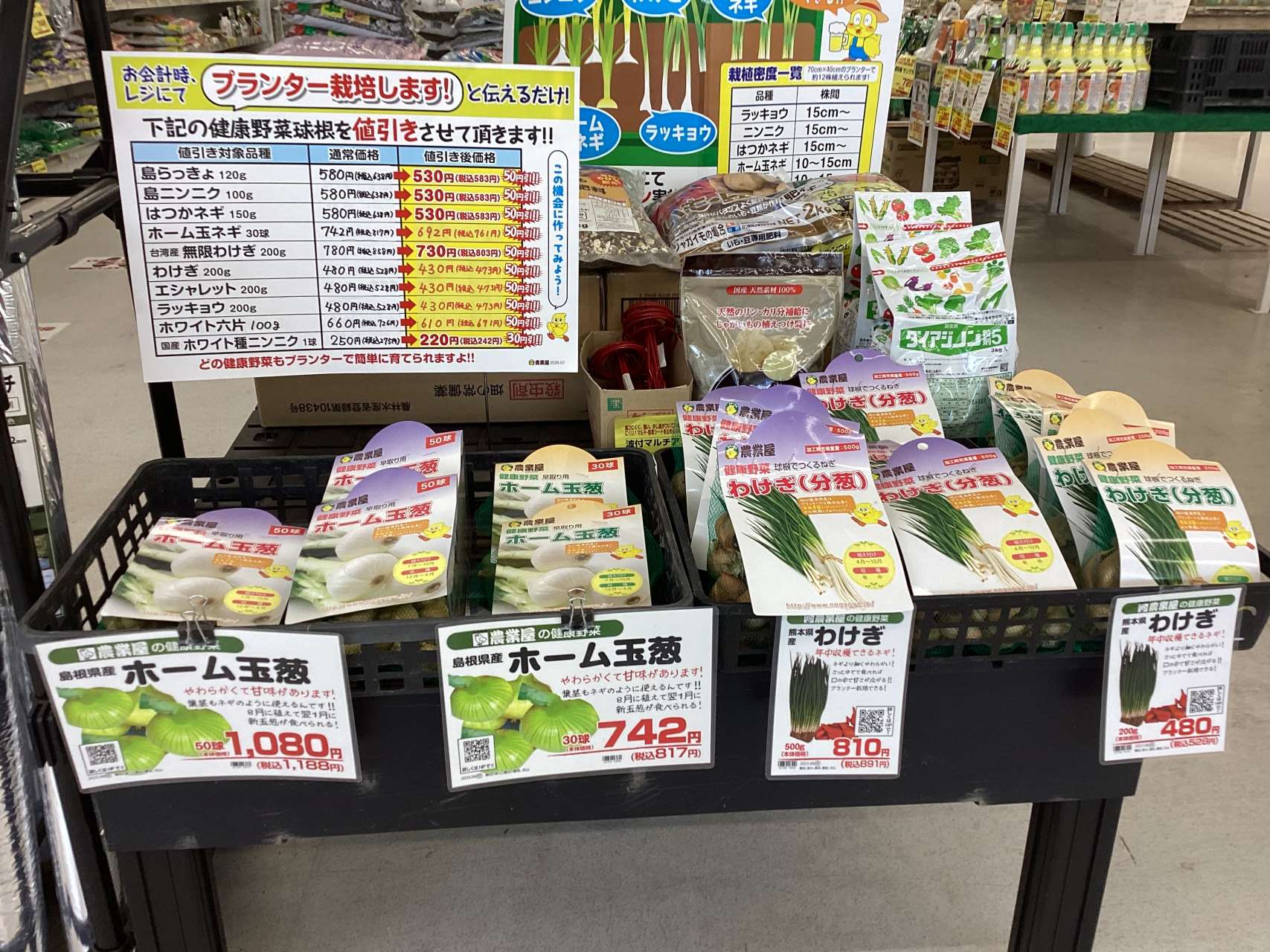 健康野菜 続々入荷！！
