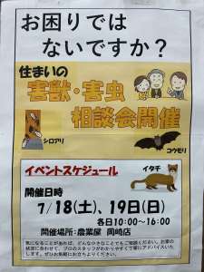 住まいの害虫、害獣にお困りではないですか？
