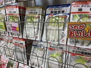 秋まき種の入荷が始まりました！
