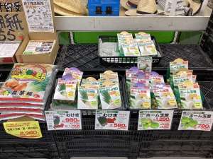 健康野菜を入荷中‼️