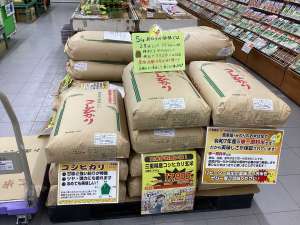玄米大特価で販売中‼️