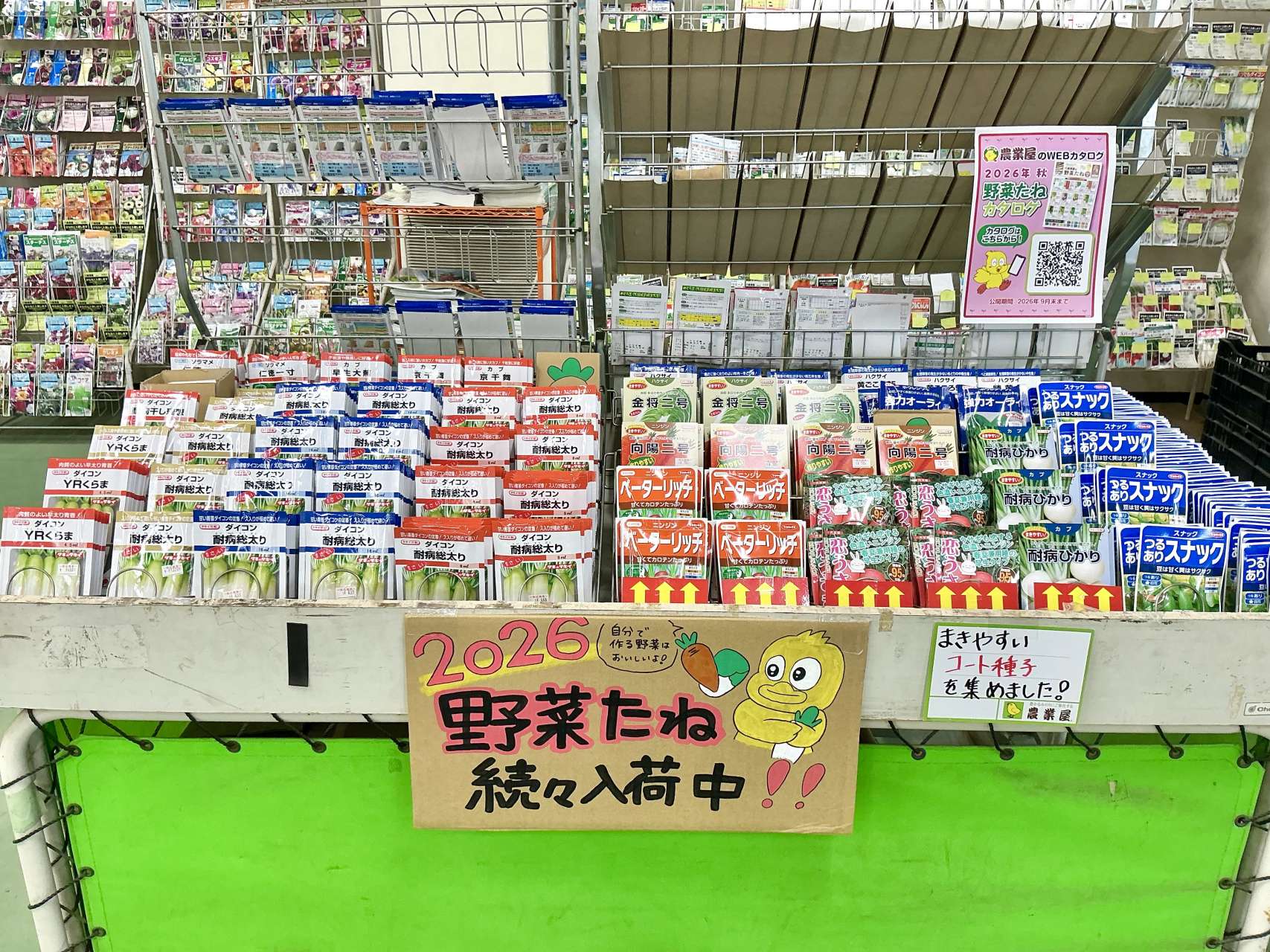秋の野菜・花種、続々入荷中‼️