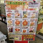 玉ねぎ苗の予約受付中！
