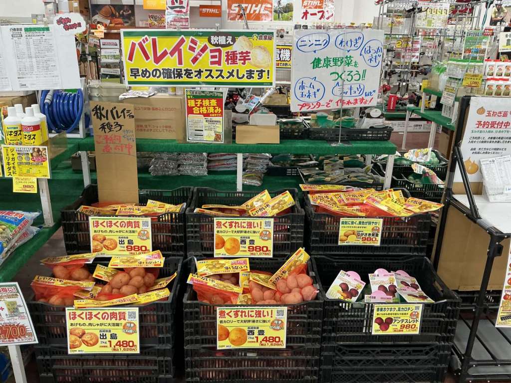 秋馬鈴薯種芋入荷開始しました🥔