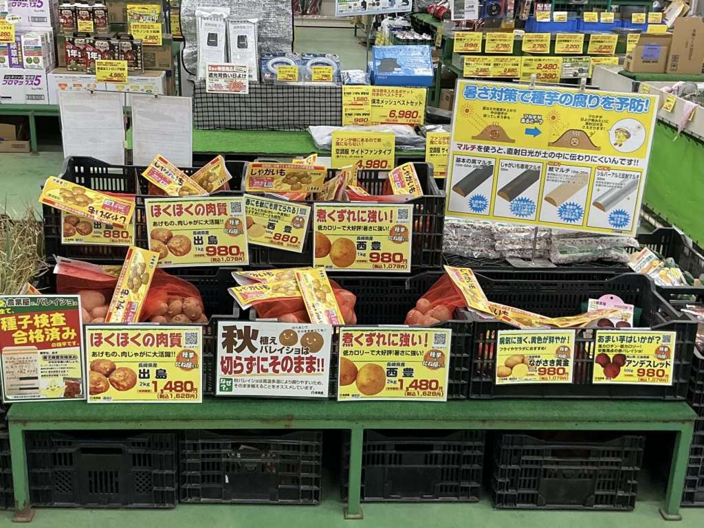 🥔｛秋バレイショ入荷しました📢