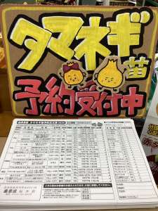 玉ねぎ苗の予約が始まってます！