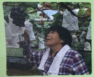 農家さんご紹介　寺澤農園さん