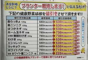 健康野菜入荷中！