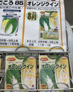 秋まき種ご紹介！