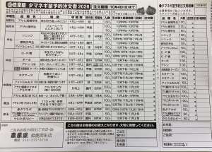 タマネギ苗のご予約受付中！