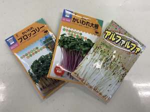 お家で簡単に育ててみませんか？