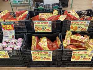 秋じゃが種芋入荷！