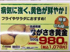 今週の入荷