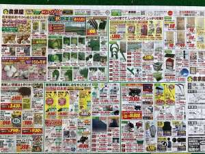 大売り出し始まりました！
