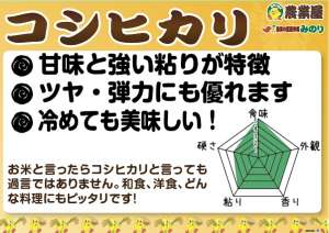 令和８年産コシヒカリ玄米入荷しました