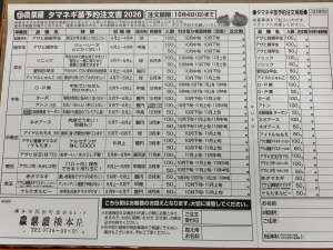 タマネギ苗の予約が始まりました‼️
